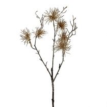 Produkt Witch Hazel Gold z brokatem 50cm