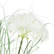 Trawa ozdobna z białymi nasionami zielona H73cm