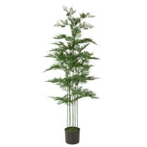Produkt Sztuczne drzewko bambusowe, zielone, 132 cm, roślina doniczkowa
