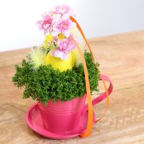 Produkt Filiżanka z podstawką do ogrodów kreatywnych, 11 cm, 6 szt.