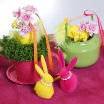 Produkt Filiżanka z podstawką do ogrodów kreatywnych, 11 cm, 6 szt.