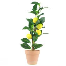 Produkt Sztuczna roślina cytrynowa w doniczce 42cm