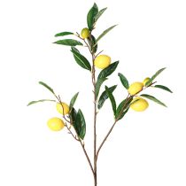 Produkt Sztuczna gałązka cytryny Sztuczna gałązka cytryny 91cm 2szt