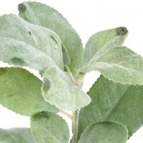 Produkt Szałwia sztuczne rośliny liście szałwii dekoracja kwiatowa szałwia dekoracja 68cm 2 szt