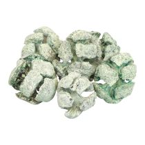 Produkt Szyszki cyprysowe mrożona dekoracja naturalna 3cm zielona 500g