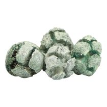 Produkt Szyszki cyprysowe mrożona dekoracja naturalna 3cm zielona 500g
