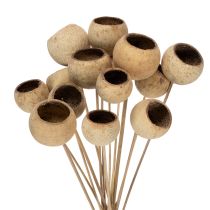 Produkt Mieszanka do kubków Bell Cup na łodydze, odmiany naturalne egzotyczne, 15 sztuk