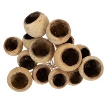 Produkt Mieszanka do kubków Bell Cup na łodydze, odmiany naturalne egzotyczne, 15 sztuk