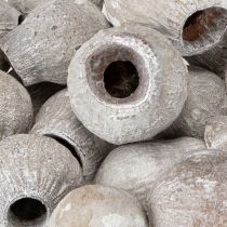 Produkt Gumy Bellgums bielone 2cm - 5cm 500g