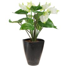 Produkt Orchidea Doniczka plastikowa antracytowa 13,5x13x16,5cm 4szt