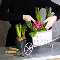 Produkt Taczka doniczka z eleganckim, lawendowym wzorem 46 cm