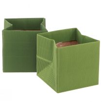 Produkt Woreczek na kwiaty zielony oliwkowy prążkowany z folią 10,5cm 6 szt