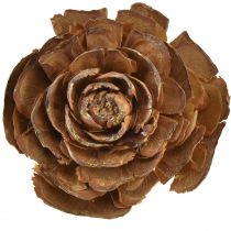 Produkt Szyszki cedru wycięte w kształcie róży róży cedrowej 4-6cm naturalne 50 szt