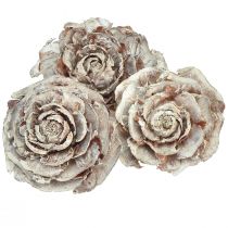 Produkt Szyszki cedrowe cięte jak róża róża cedrowa 4-6cm białe/naturalne 50 sztuk
