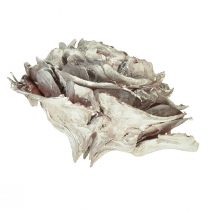 Produkt Szyszki cedrowe cięte jak róża róża cedrowa 4-6cm białe/naturalne 50 sztuk