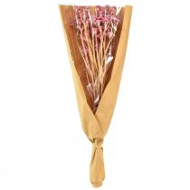 Produkt Curry Ziele Immortelle Sztuczny Róż L28cm 12 szt. 1 pęczek