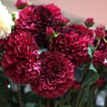 Produkt Dalia sztuczne kwiaty z fioletowym kwiatem Ø10cm D80cm 2szt