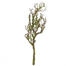Produkt Dekoracyjna gałązka z mchem sztuczna jesienna dekoracja szaro-zielona L78cm