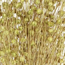 Produkt Deco Len Suszone Kwiaty Suszone Oliwkowe 50g