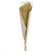 Produkt Suszone kwiaty lnu ozdobnego oliwkowo-zielone 50g