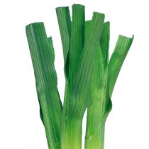 Produkt Warzywa dekoracyjne dymka zielona biała Ø1cm dł.28cm 3 szt