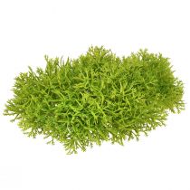 Produkt Mech dekoracyjny sztuczny zielony – poduszka z mchu 10/12/14cm 3 szt