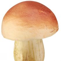 Produkt Grzyby dekoracyjne na patykach małe i duże brązowe wys. 10/11,5cm 8 sztuk