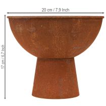 Produkt Miska dekoracyjna z nóżką, czarka, metal w kolorze rdzy, Ø20,5 cm, 2 sztuki