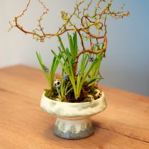 Produkt Dekoracyjna miska ceramiczna z podstawą kremowo-szaro-zieloną Ø17cm 10cm