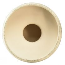 Produkt Miska dekoracyjna miska ceramiczna kremowo-zielona Ø20cm W16cm