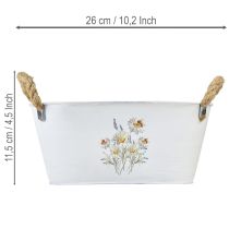 Produkt Dekoracyjna owalna metalowa miska, biała z naturalnym wzorem kwiatowym, dł. 26 cm