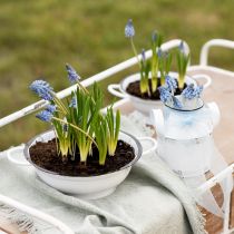 Produkt Miska dekoracyjna metalowa w kolorze białym czarnym vintage Ø20,5cm 3 szt.