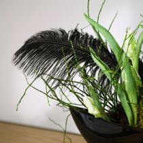 Produkt Ozdobne strusie pióra czarne pióra 38-40cm 2 szt