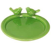 Produkt Talerz dekoracyjny ptasie kąpielisko dekoracja stołu ceramiczny zielony Ø20,5cm 2szt