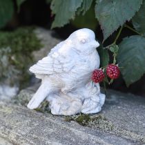 Produkt Dekoracyjna figurka ptaka wróbel odlewany kamień bielony wys. 12,5 cm