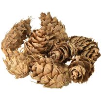 Produkt Szyszki Douglasa 1,3 kg