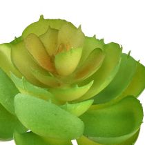 Produkt Echeveria Sztuczne Sukulenty Zielone Ø7cm 6 szt