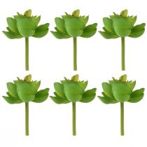 Produkt Echeveria Sztuczne Sukulenty Zielone Ø7cm 6 szt