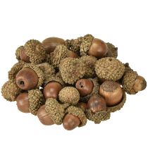 Produkt Żołędzie do dekoracji, dekoracja jesienna, naturalne owoce jesienne Ø1,5 – 2,5 cm Dł.1,5 – 3 cm 300 g