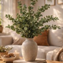 Produkt Konserwowane gałązki i liście eukaliptusa ozdobnego, suszone okrągłe, zielone, 150 g