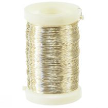 Produkt Drut florystyczny Drut mirtowy szampański 0,30mm 100g 3 szt