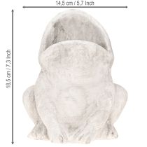 Produkt Żaba dekoracyjna doniczka doniczka betonowa szara wys. 18,5 cm