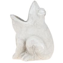 Produkt Żaba dekoracyjna doniczka doniczka betonowa szara wys. 18,5 cm