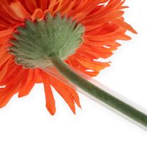 Produkt Gerbera profile rurowe 13mm, 1000szt