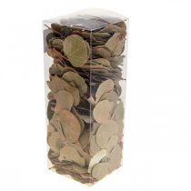Produkt Suszone liście, dekoracyjne Moneta, suszone kompozycje kwiatowe, naturalne, 200g