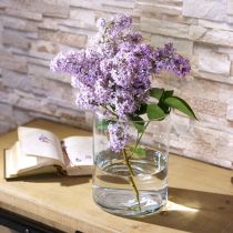 Produkt Wazon szklany przezroczysty cylindryczny Ø12cm H20cm