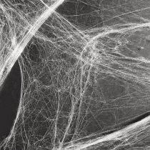 Produkt Dekoracja na Halloween pajęczyna pajęczyny 70×100cm 150g