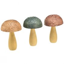 Produkt Grzyby drewniane grzyby dekoracyjne jesienna dekoracja drewno różne 11×7,5cm 3szt