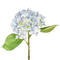 Produkt Hortensja sztuczny niebieski sztuczny kwiat niebieski Ø15,5cm 45cm