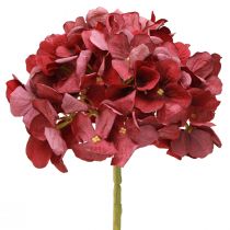 Produkt Hortensja Sztuczna Bordowa Duży Kwiat Ø15cm D58cm 2szt